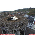 06_30-nest.jpg