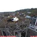 06_35-nest.jpg