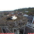 06_40-nest.jpg