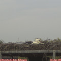 07_00-mast.jpg