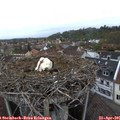 07_00-nest.jpg