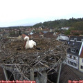 07_05-nest.jpg