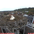 07_10-nest.jpg