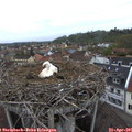 07_15-nest.jpg