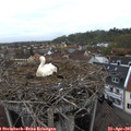 07_20-nest.jpg