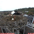 07_25-nest.jpg
