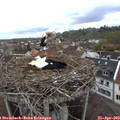 10_35-nest.jpg