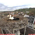 11_05-nest.jpg