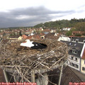 11_15-nest.jpg
