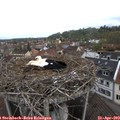 11_30-nest.jpg