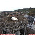 11_40-nest.jpg