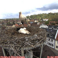 12_05-nest.jpg