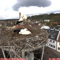 12_25-nest.jpg