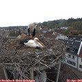 13_15-nest.jpg