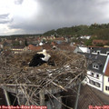 13_50-nest.jpg