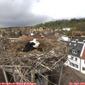 14_00-nest.jpg