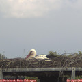 14_25-mast.jpg