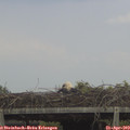 14_45-mast.jpg