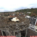 14_45-nest.jpg