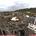 15_00-nest.jpg