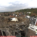 15_05-nest.jpg
