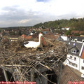 15_15-nest.jpg