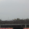 15_45-mast.jpg