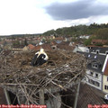 16_15-nest.jpg