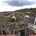 16_20-nest.jpg