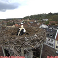 16_35-nest.jpg