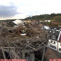 17_40-nest.jpg