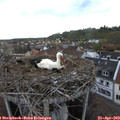 18_10-nest.jpg