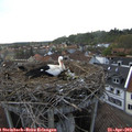 18_35-nest.jpg