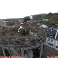 18_55-nest.jpg