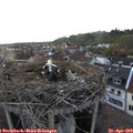 19_00-nest.jpg