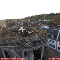 19_35-nest.jpg