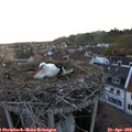 19_45-nest.jpg