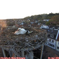 19_55-nest.jpg