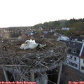 20_10-nest.jpg
