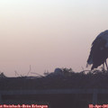 06_30-mast.jpg