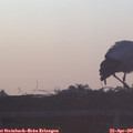 06_35-mast.jpg
