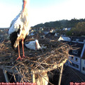 06_40-nest.jpg
