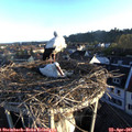 06_55-nest.jpg