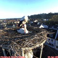 07_00-nest.jpg