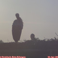 07_05-mast.jpg