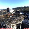 07_20-nest.jpg