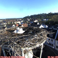 07_30-nest.jpg