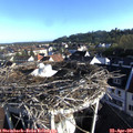 07_40-nest.jpg
