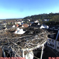 07_45-nest.jpg