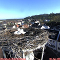 07_55-nest.jpg